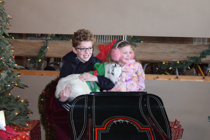Two children smile in a festive sleigh, holding a small goat, with holiday decorations around them.