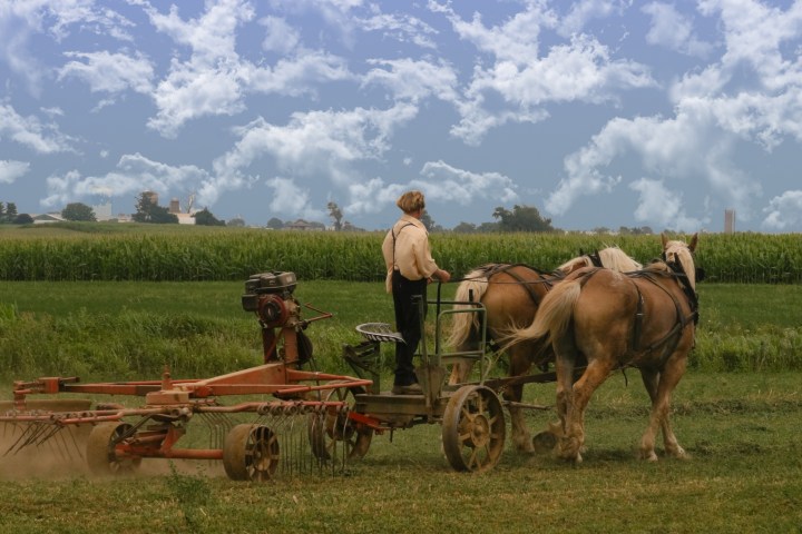 Farmer on a horse-drawn plow in a field under a cloudy sky.