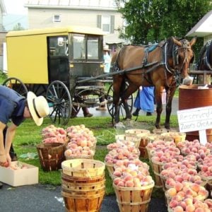 5 Colorful Amish Buggies blog 5 Colorful Amish Buggies blog