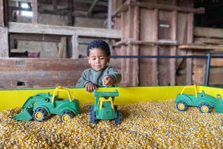 Child playing with toy tractors in a bin filled with corn kernels.