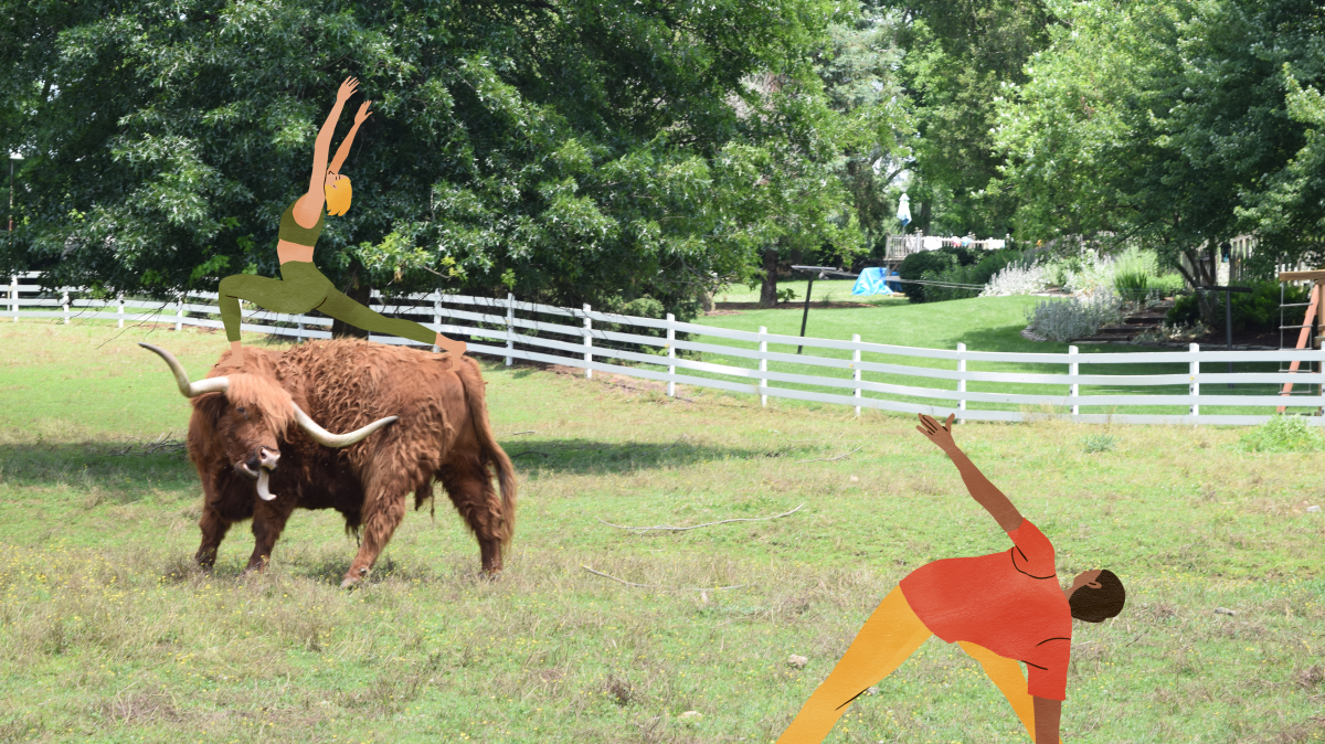 Untitled design (57)